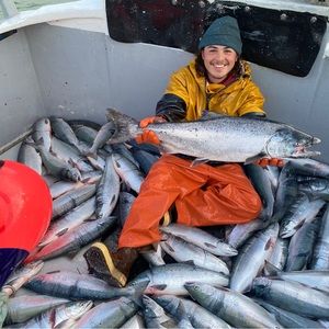 Meet your Posher, Max